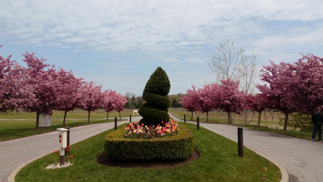 The White House Boutique B&B Niagara-on-the-Lake ภายนอก รูปภาพ